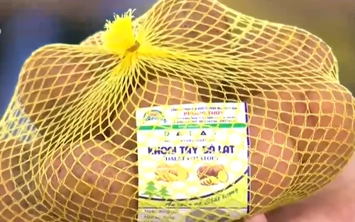 Bắt đầu dán nhãn cho khoai tây Đà Lạt để chống hàng giả
