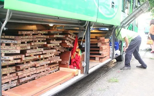 Bắt 2 xe khách giường nằm chở gỗ không rõ nguồn gốc