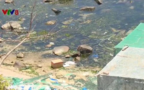 Đảo ngọc Bình Ba "ngập ngụa" trong rác thải