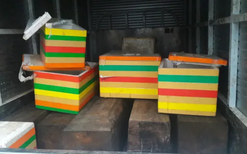 Đà Nẵng phát hiện xe tải chở gỗ không có nguồn gốc xuất xứ