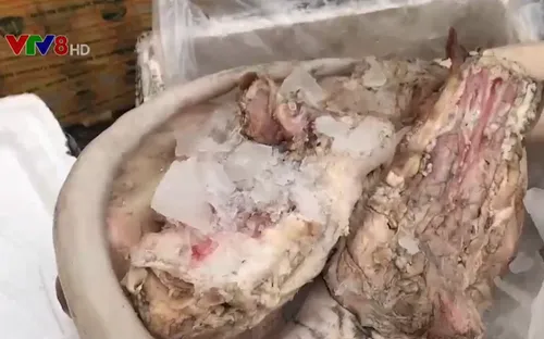 Phát hiện và bắt giữ hơn 700kg nội tạng không rõ nguồn gốc tại Huế