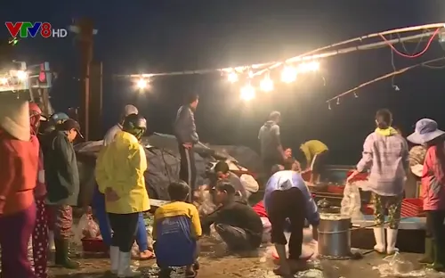 Một ngày mới trên cửa biển Thuận An