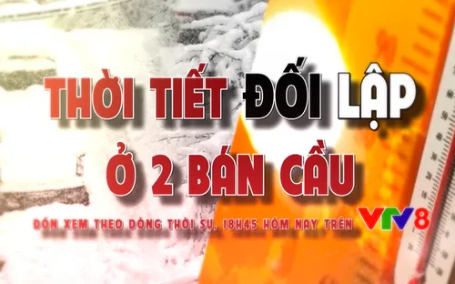 Theo dòng Thời sự: Thời tiết bất thường ở 2 bán cầu (18h45 hôm nay, 22/1, VTV8)