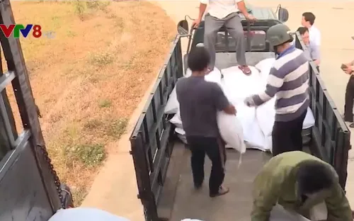 Xuất cấp gạo cho 5 tỉnh dịp Tết Nguyên đán