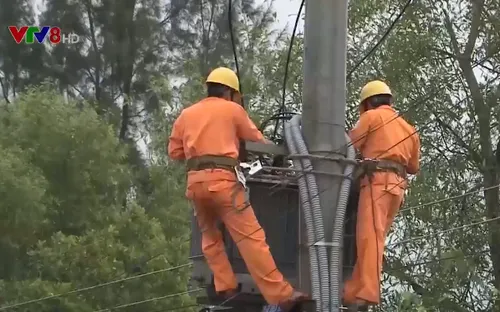 Quảng Ngãi: Thêm hàng nghìn hộ dân được cấp điện an toàn trước Tết