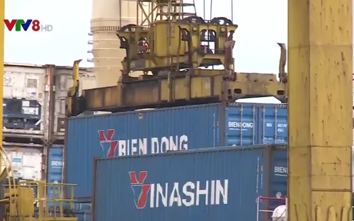 Cảng biển Đà Nẵng có thêm tuyến vận tải quốc tế chạy thẳng Nhật Bản