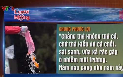 Dân mạng gay gắt trước việc người dân thả cá: Thả luôn ý thức!