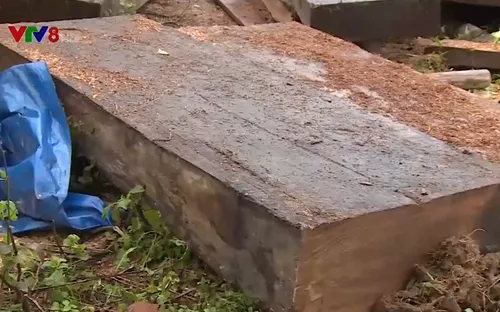 Triệt phá đường dây gỗ lậu "núp bóng" xưởng mộc ở Quảng Nam