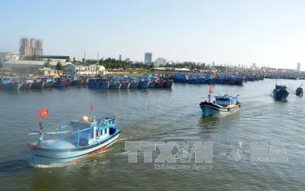 Đà Nẵng dành hơn 100 tỷ đồng hỗ trợ ngư dân