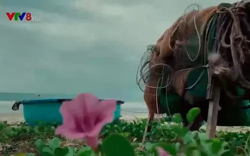 Ký ức về làng chài cổ Nam Thọ