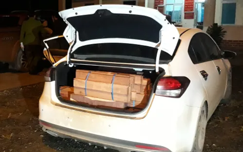 Quảng Trị: Bắt giữ xe ô tô du lịch và xe bán tải chở hơn 1 tấn gỗ lậu