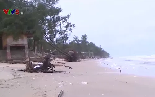 Thừa Thiên Huế: Sạt lở bờ biển ảnh hưởng sản xuất người dân