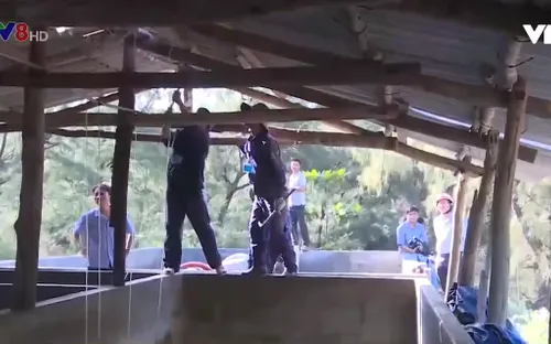 Phú Yên: Cưỡng chế công trình nuôi tôm trên đất lấn chiếm khu vực ven biển