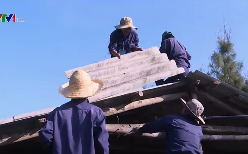 Phú Yên: Cưỡng chế trường hợp chiếm đất trái phép sản xuất giống thủy sản