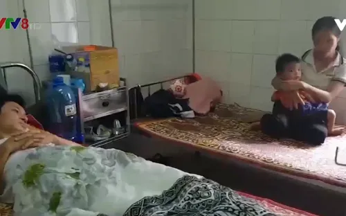 Quảng Trị xuất hiện ổ dịch sốt xuất  huyết