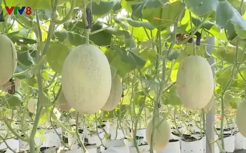 Trải nghiệm du lịch cộng đồng nhà vườn Thừa Thiên - Huế