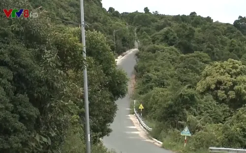 Đà Nẵng đảm bảo an toàn cho du khách tại bán đảo Sơn Trà