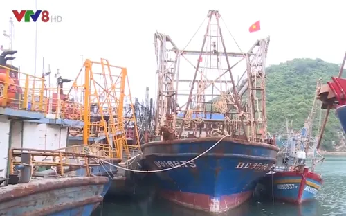 Tàu vỏ thép nằm bờ vì ngư dân không mua được bảo hiểm