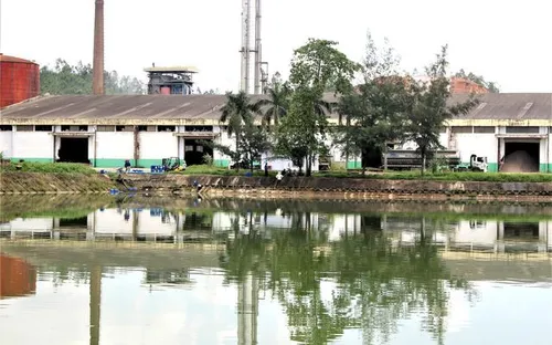 Đã có kết quả quan trắc môi trường Nhà máy cồn Đại Tân