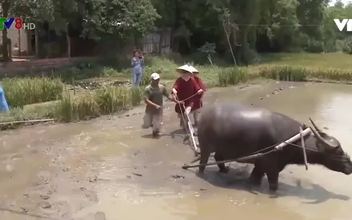 Quảng Nam hỗ trợ khởi nghiệp nông nghiệp