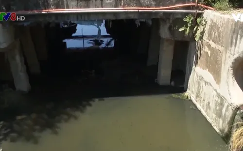 Quảng Ngãi sẽ di dân gần trạm xử lý nước thải Quảng Phú gây ô nhiễm