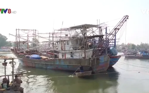 Lối thoát nào cho tàu cá Nghị định 67 đang nằm bờ