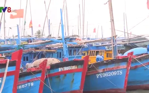 Nam Trung bộ chủ động ứng phó với áp thấp nhiệt đới