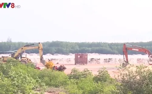 Chủ tịch UBND tỉnh Bình Định yêu cầu dừng hút cát tại Đầm Thị Nại