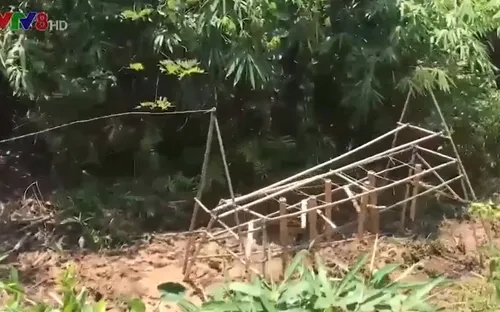 Kon Tum phục hồi cây đàn nước