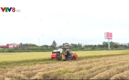 Đà Nẵng đẩy mạnh cơ giới hóa vùng sản xuất nông nghiệp