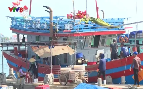 Người dân lo sợ nạn côn đồ ở Cảng Gianh