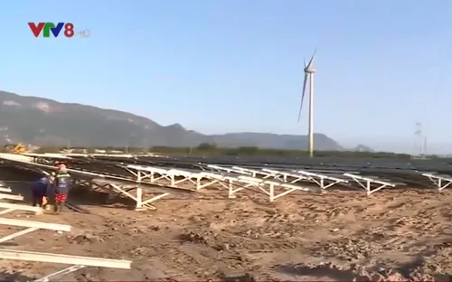 Khẩn trương giải tỏa công suất các dự án điện mặt trời tại Ninh Thuận