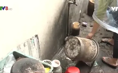 Đà Nẵng đẩy mạnh chiến dịch đầy lùi dịch sốt xuất huyết