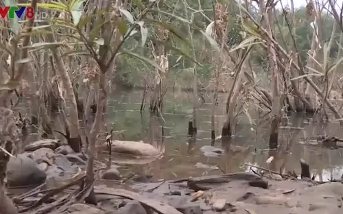 Quảng Trị: Xử lý trạm trộn bê tông nhựa xả thải ra sông Hiếu