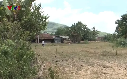 Thắng kiện sau 5 năm đi tìm công lý