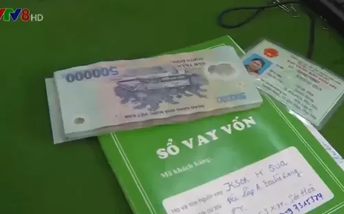 Phú Yên: Đẩy mạnh cho vay vốn tái sản xuất sau nắng hạn