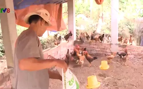 Quảng Nam: Thêm 5000 hộ giảm nghèo trong năm 2019