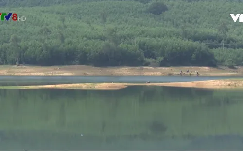 Quảng Nam đối mặt nguy cơ thiếu nước sản xuất vụ Đông Xuân