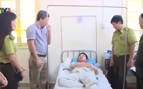 Thừa Thiên - Huế: Cán bộ bảo vệ rừng bị hành hung tại cơ quan