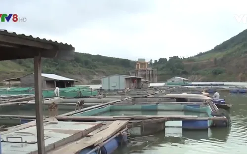 Quảng Nam phát triển kinh tế lòng hồ thủy điện