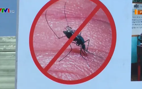 Gia tăng sốt rét trong mùa trồng rừng