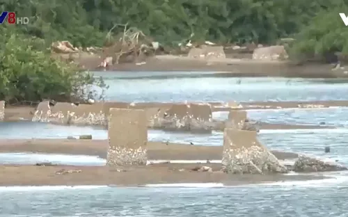 Cảnh báo tình trạng xây dựng lấn chiếm luồng lạch gây nguy hiểm tàu cá