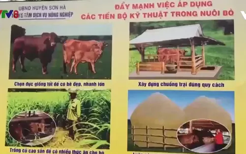 Phát triển đô thị - người  dân miền núi hưởng lợi