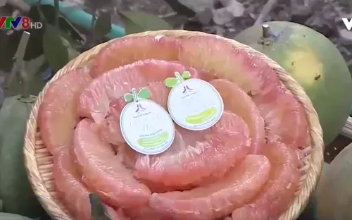 Thừa Thiên - Huế chú trọng xây dựng thương hiệu cho cây đặc sản