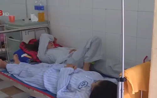 Bệnh sốt rét - sốt xuất huyết  tăng cao tại Nam Trung Bộ