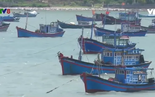 UBND tỉnh Phú Yên họp ứng phó bão số 6