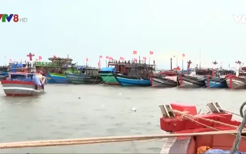Thừa Thiên - Huế kêu gọi tàu thuyền tránh trú bão