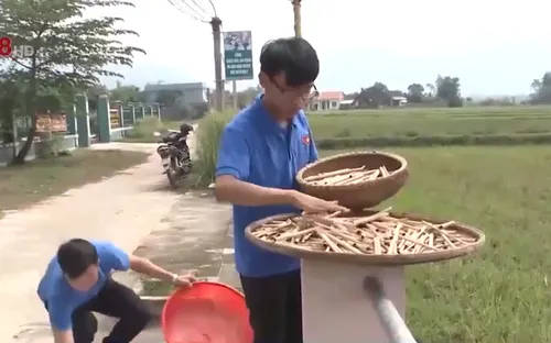 Quảng Nam: Giải pháp ống hút một lần