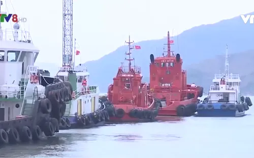 Phó thủ tướng Trịnh Đình Dũng chỉ đạo ứng phó bão số 6 tại Bình Định