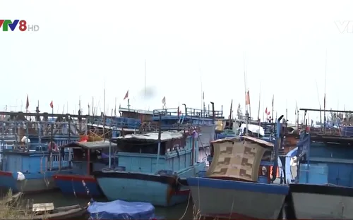 Ban chỉ đạo trung ương về phòng chống thiên tai kiểm tra công tác phòng chống bão số 6 tại Quảng Ngãi